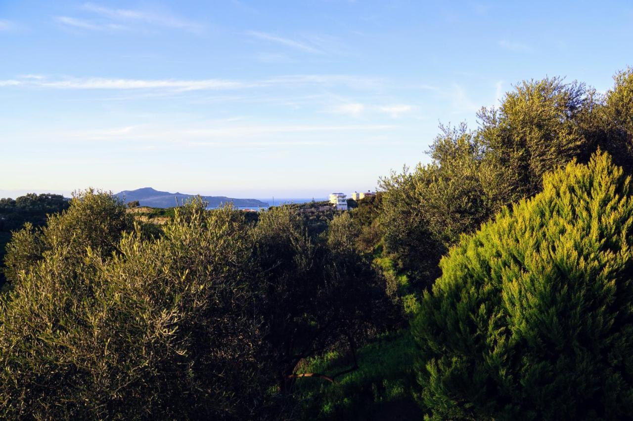 Olive Tree Hillside Apartment Σταλός Εξωτερικό φωτογραφία